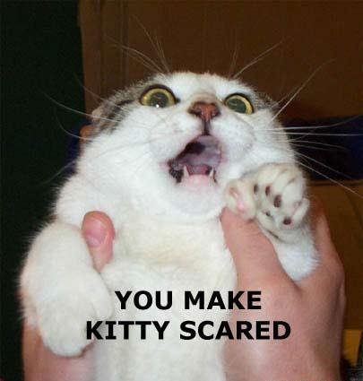 You make kitty scared