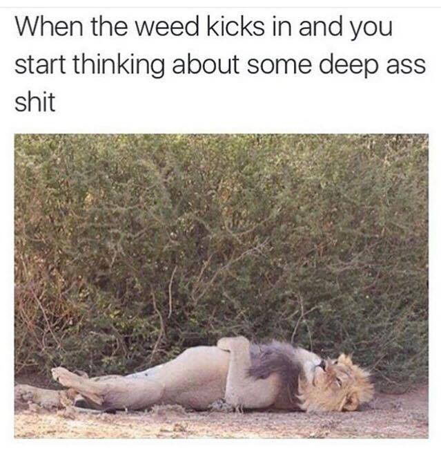 Meme When the weed kicks in