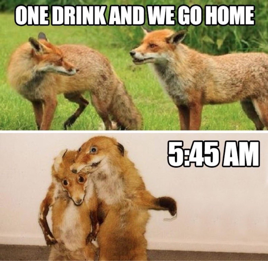 Meme One drink and we go home