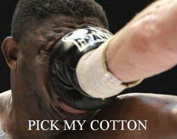 Meme Pick my cotton