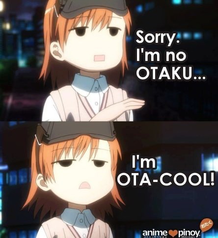 Meme Sorry I'm no otaku - I'm ota-cool
