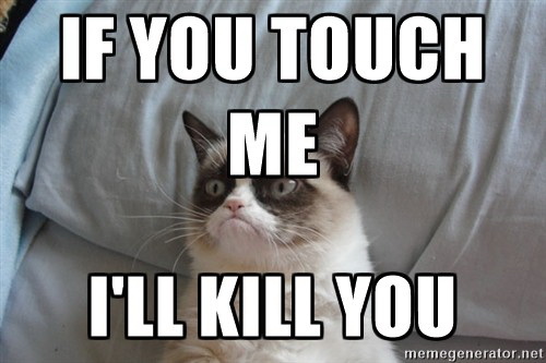Meme If you touch me - I'll kill you