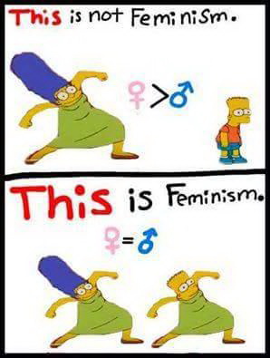 Meme This is not feminism - This is feminism
