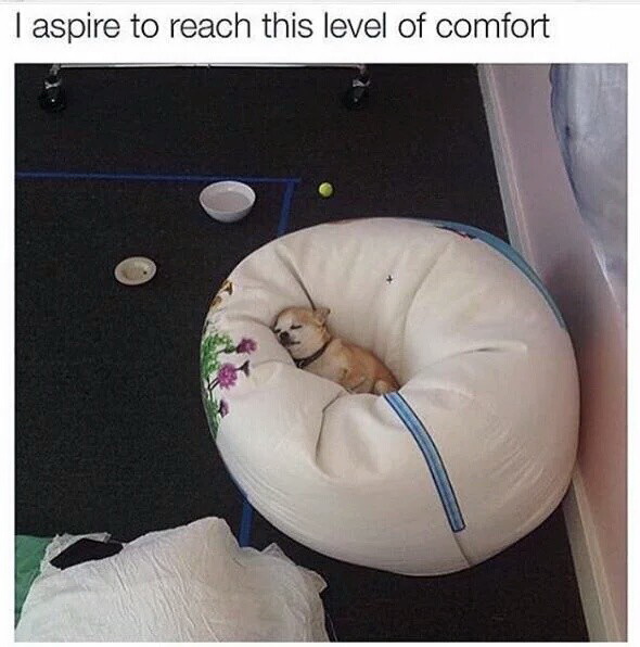 Meme I aspire to reach this level of comfort