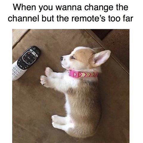 Meme When you wanna change the channel but the remote is too far
