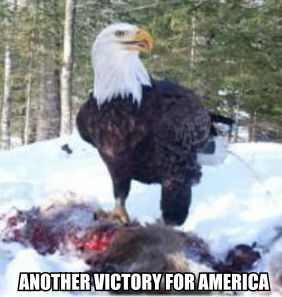 Meme Another victory for America
