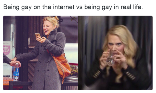 Meme Being gay on the Internet vs Being gay in real life