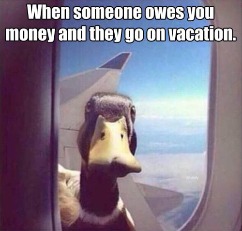 Meme When someone owes you money and the go on vacation