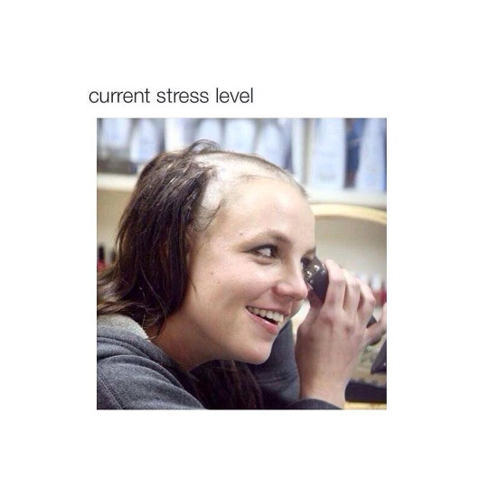 Meme Current stress level - Shaving Britney