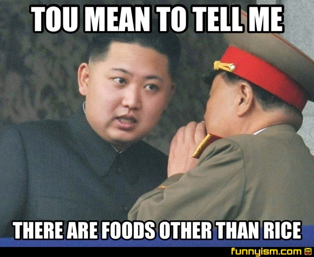 Meme You mean to tell me there are foods other that rice?