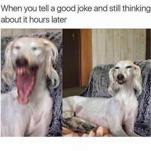 Meme When you tell a good joke and still thinking about it hours later