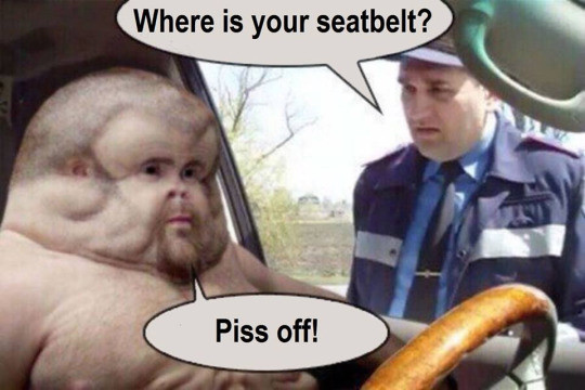 Meme Where is your seatbelt?