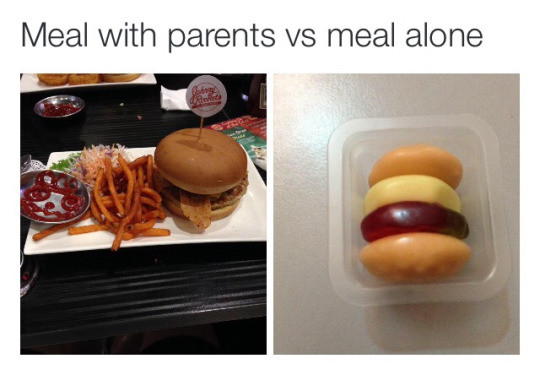 Meme Meal with parents vs Meal alone