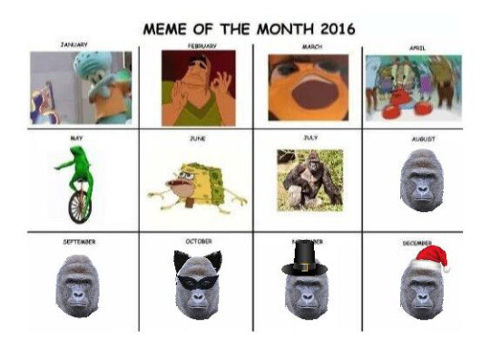 Meme Meme of the month 2016