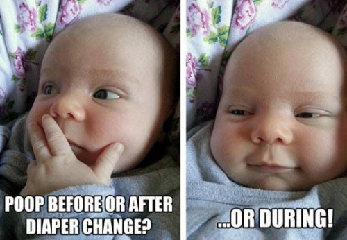 Meme Poop before or after diaper change?