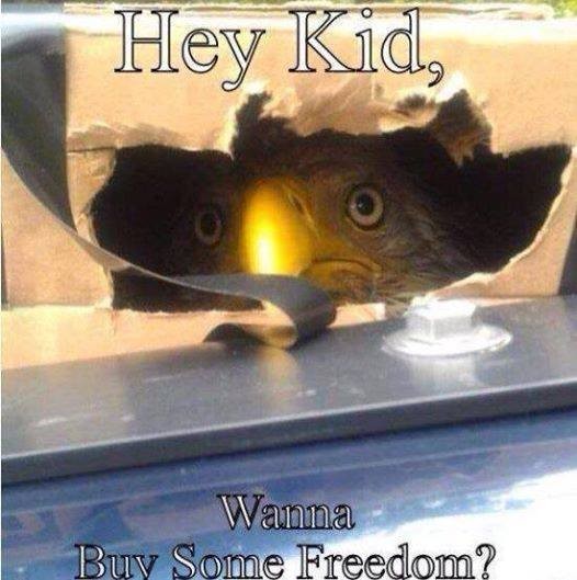 Meme Hey kid wanna buy some freedom?