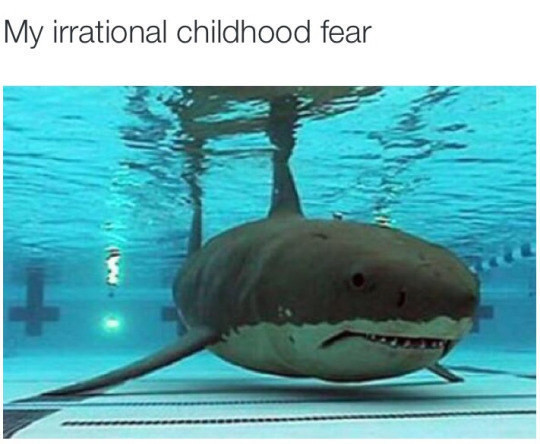 Meme My irrational childhood fear