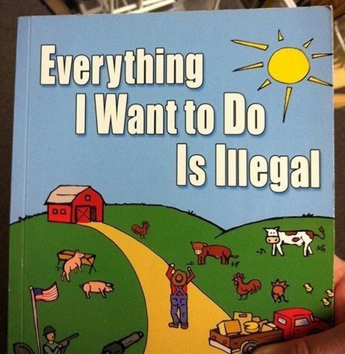 Meme Everything I want to do is illegal