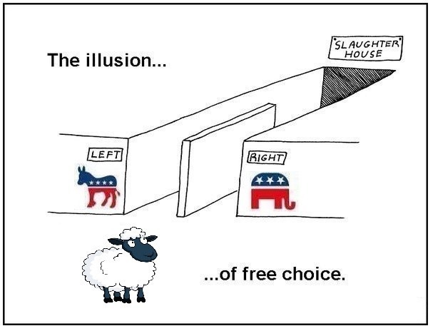 Meme The illusion of free choice