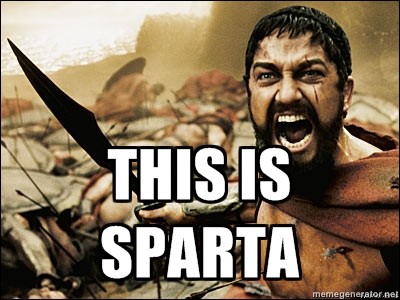 Meme This is Sparta!