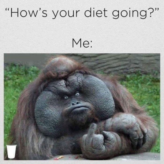 Meme How's you diet going?