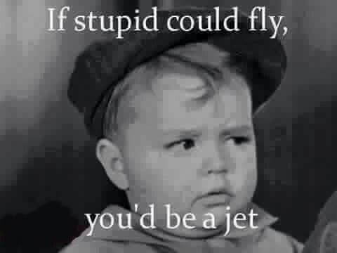 Meme If stupid could fly you'd be a jet