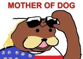 Meme Mother of Dog