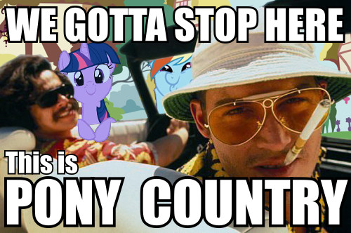 Meme We gotta stop here - This is pony country