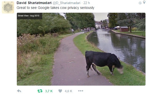 Meme Great to see Google takes cow privacy seriously