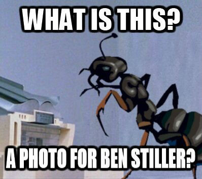 Meme What is this? A photo for Ben Stiller?