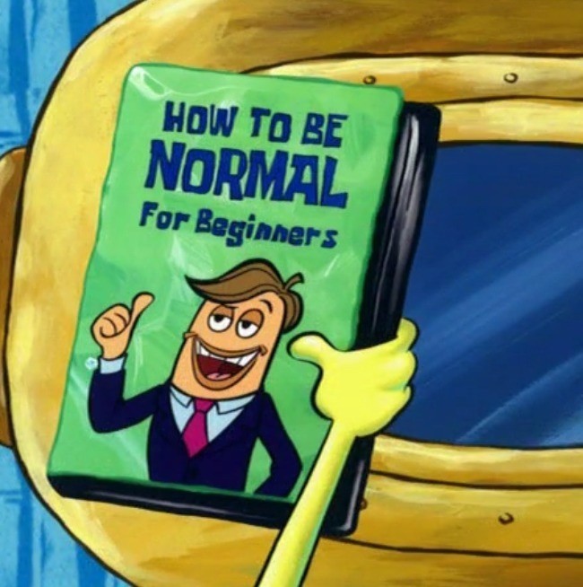 Meme How to be normal - For beginners