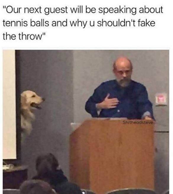 Meme Our next guest will be speaking about tennis balls