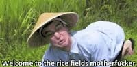 Meme Welcome to the rice fields motherfucker