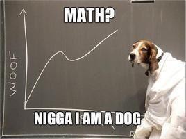 Meme Math? Nigga I'm a dog