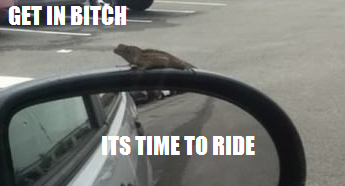 Meme Get in bitch - It's time to ride