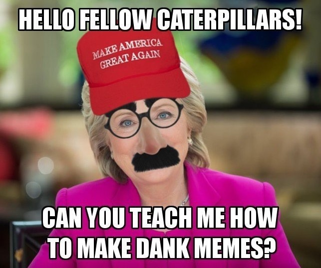 Meme Hello fellow caterpillars - Can you teach me how to make dank memes - Hillary Clinton