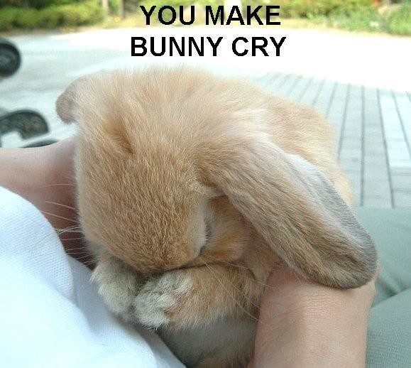 Meme You make bunny cry
