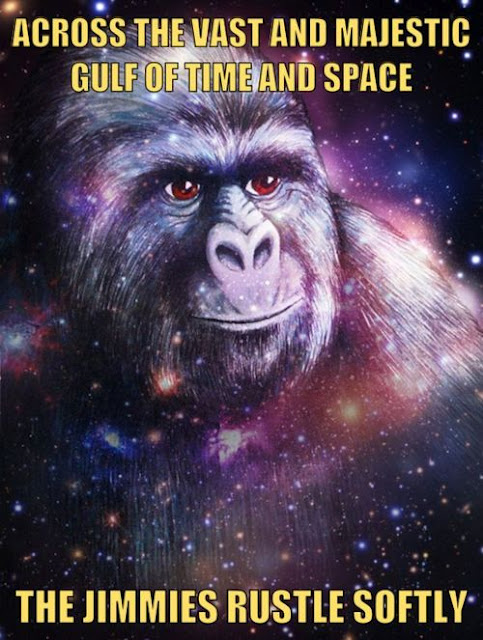 Meme Across the vast and majestic gulf of time and space - The jimmies rustle soflty