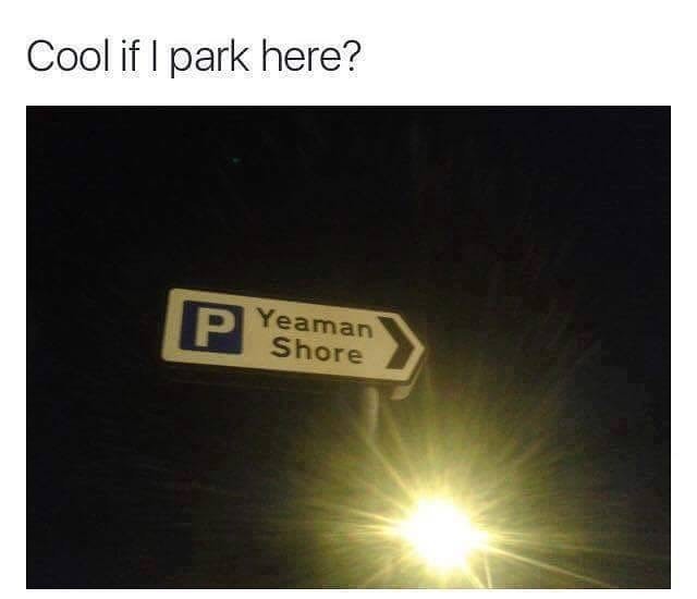 Meme Cool if I park here?
