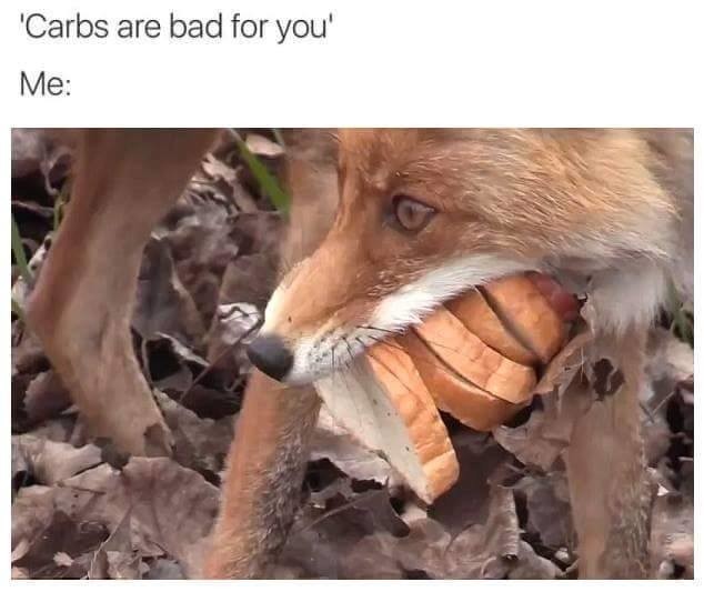 Meme Carbs are bad for you