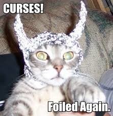 Meme Curses! Foiled again! - Cat