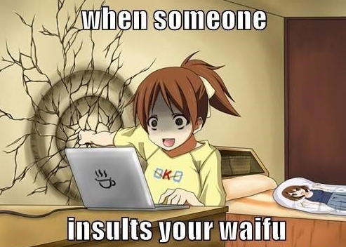 Meme when someone insults your waifu
