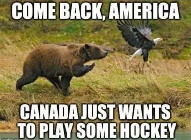 Meme Come back America - Canada just wants to play some hockey