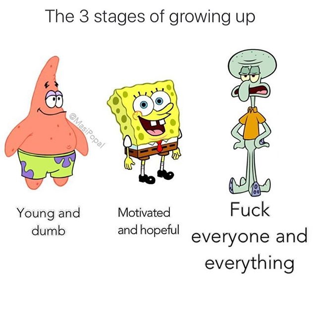 Meme The 3 Stages of Growing Up