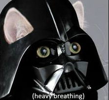 Meme (heavy breathing cat)