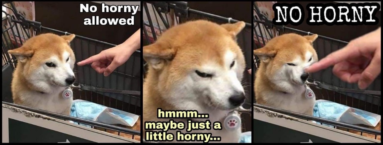 Meme No horny allowed - Maybe just a little horny.