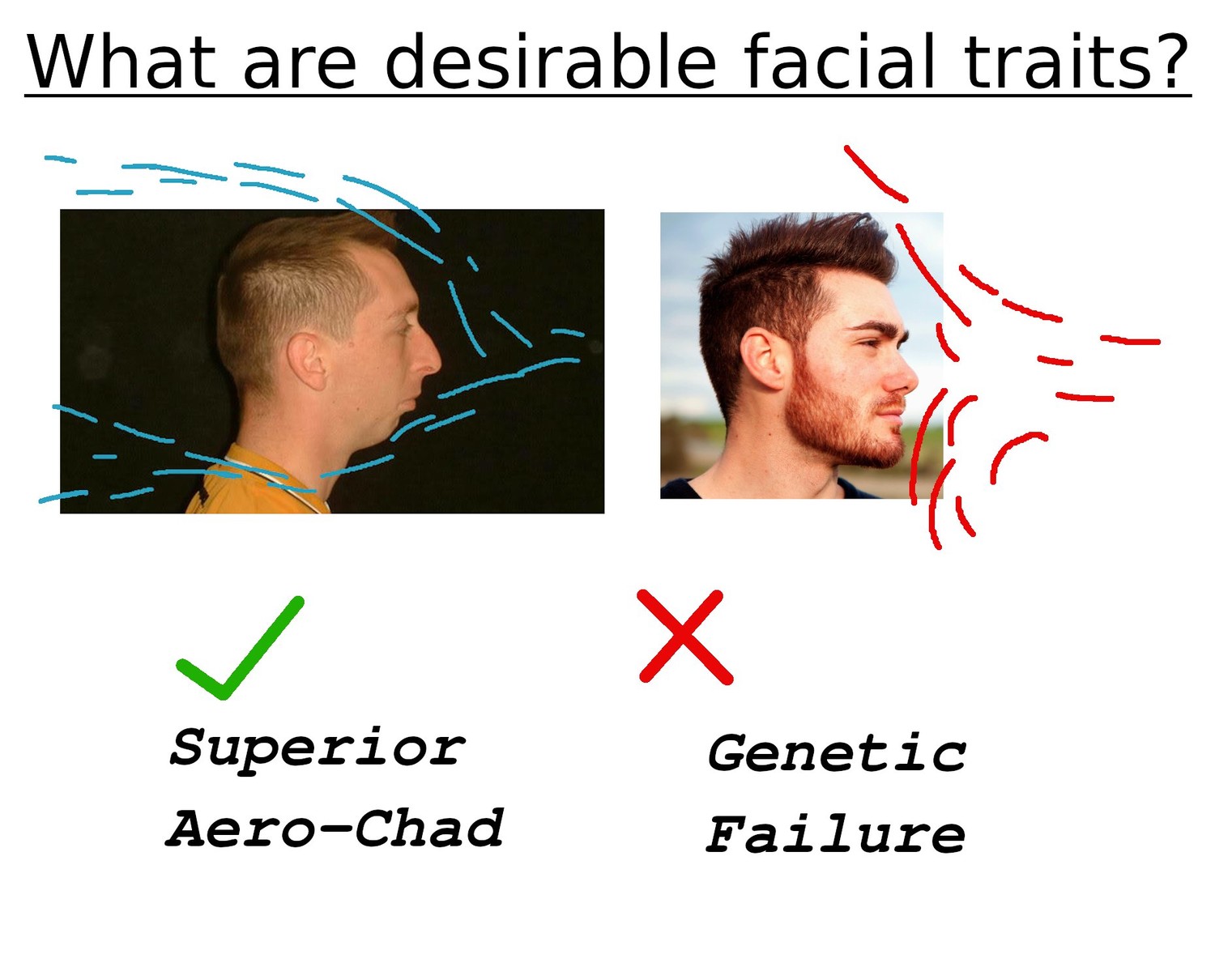 Superior Aero-Chad - Genetic Failure - Memes
