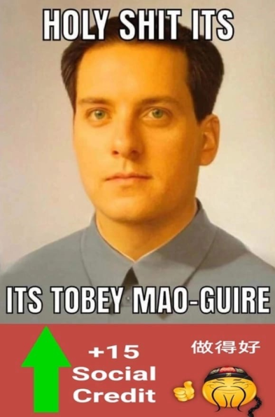 Meme Tobey Mao-Guire