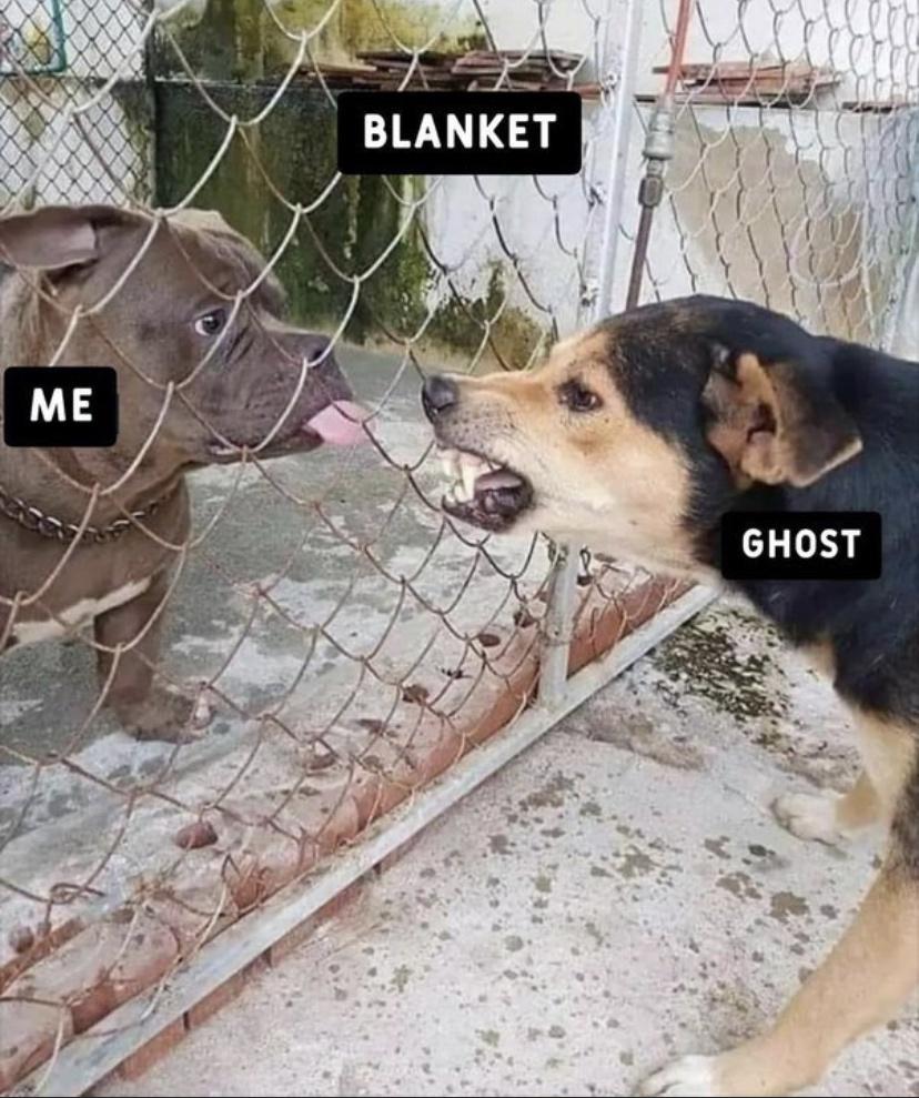Meme Me - Blanket - Ghost
