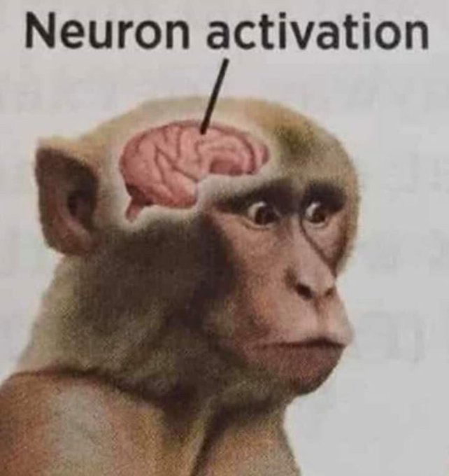 Meme Neuron activation